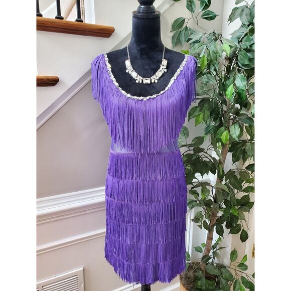 Fun Costumes Women's Purple Polyester Scoop Neck Sleeveless Knee Length Dress S - Picture 1 of 11